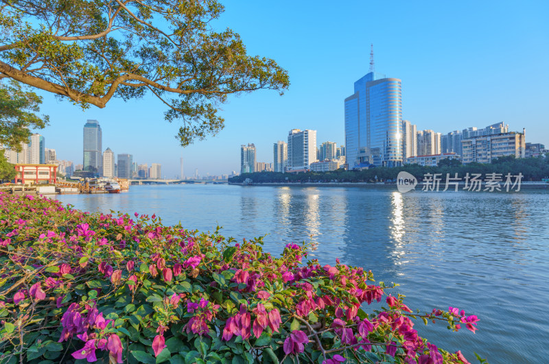 广州珠江滨江城市高楼建筑与鲜花