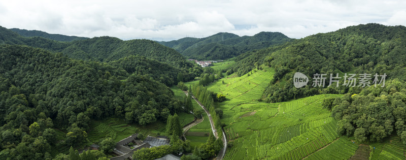 杭州西湖龙井产地梅家坞云雾茶园