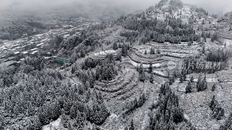 重庆酉阳：大雪纷飞赏雪忙