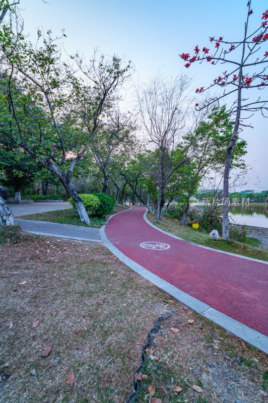 广州番禺大学城中心湖公园湖畔红色运动跑道