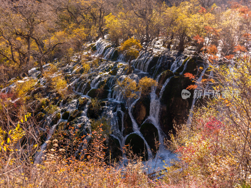 九寨沟秋景