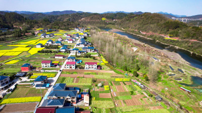 乡村田园油菜花