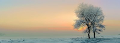 雾凇雪景