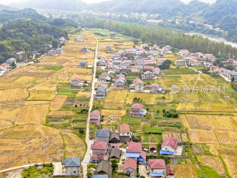 秋收美丽乡村田园