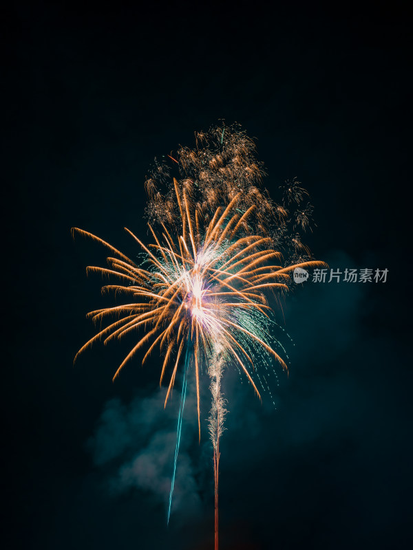 夜空中的绚烂烟花