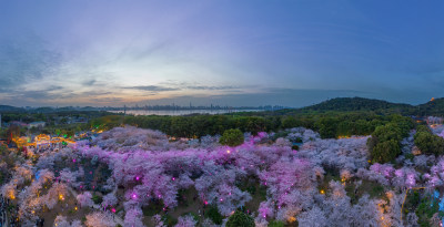 武汉东湖磨山樱花园风光