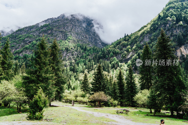 阿坝州四姑娘山长坪沟