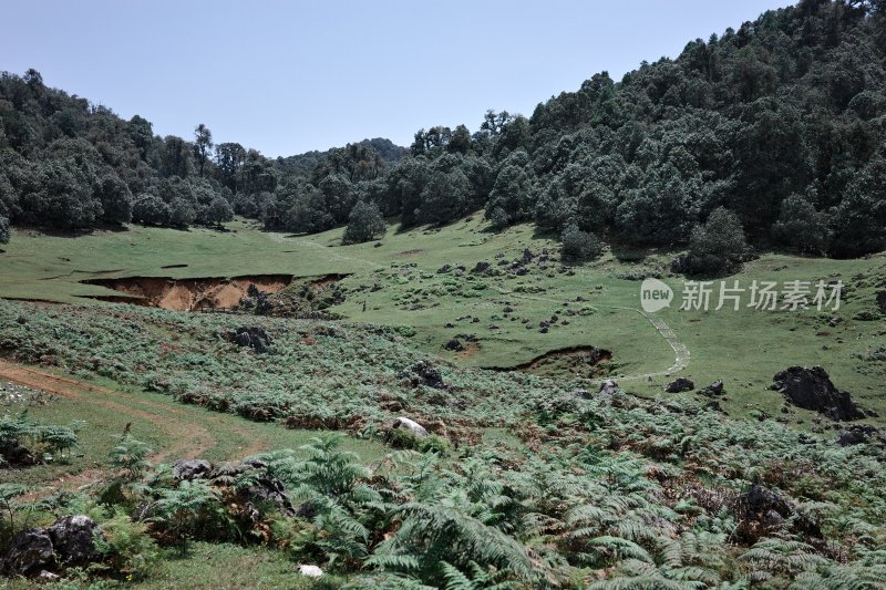 山林自然风光