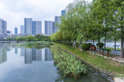 武汉江岸区宝岛公园风景