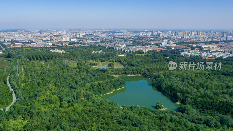 青州植物园森林秋景和建筑群城市风光航拍