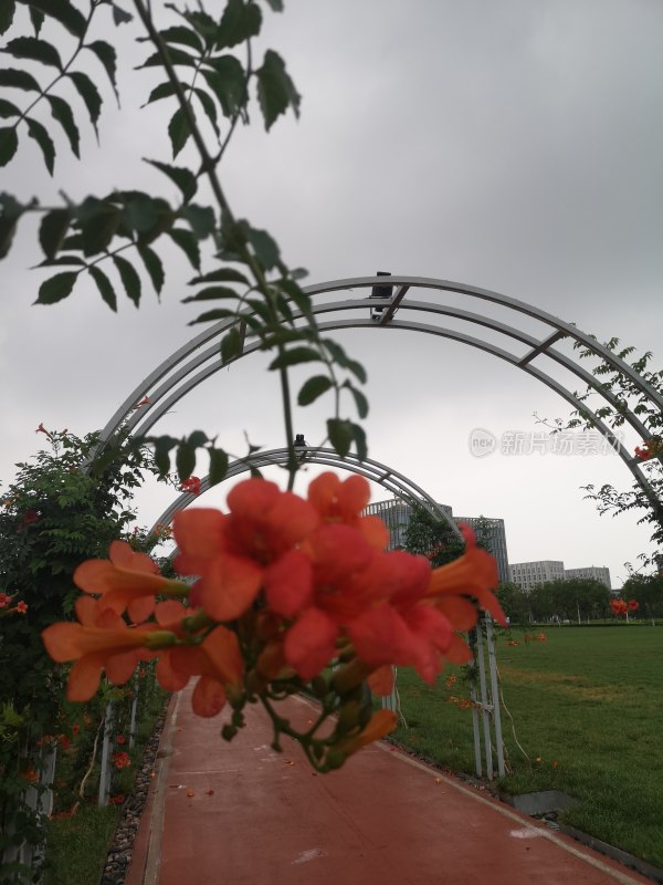 暴风雨前的风景