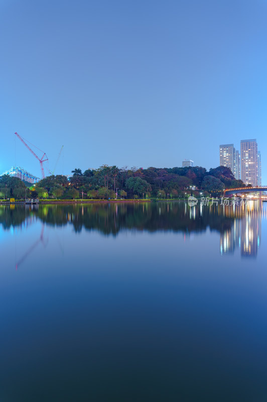 佛山千灯湖公园树林湖泊城市夜景灯光