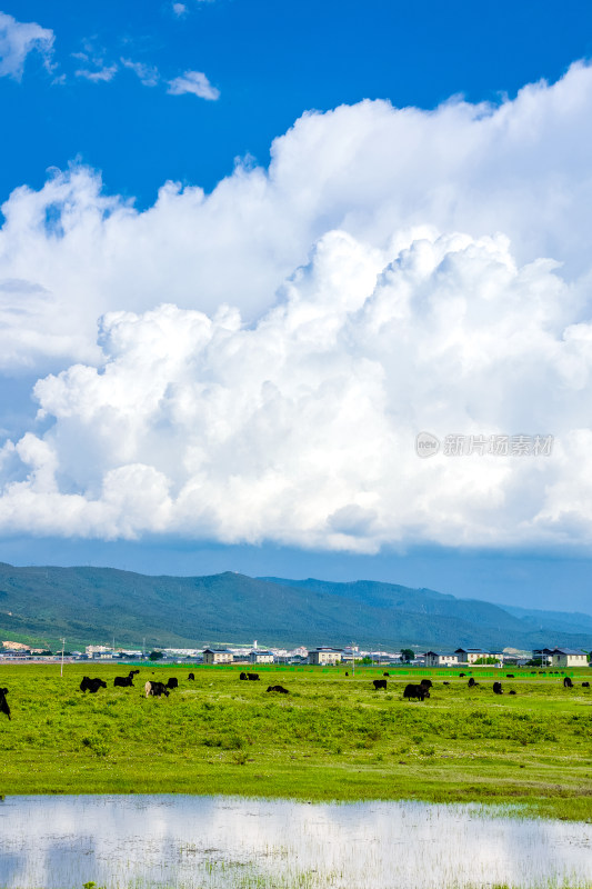 香格里拉纳帕海景区