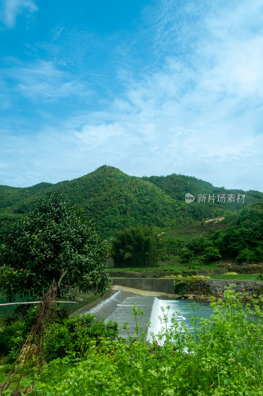 山中的自然风景