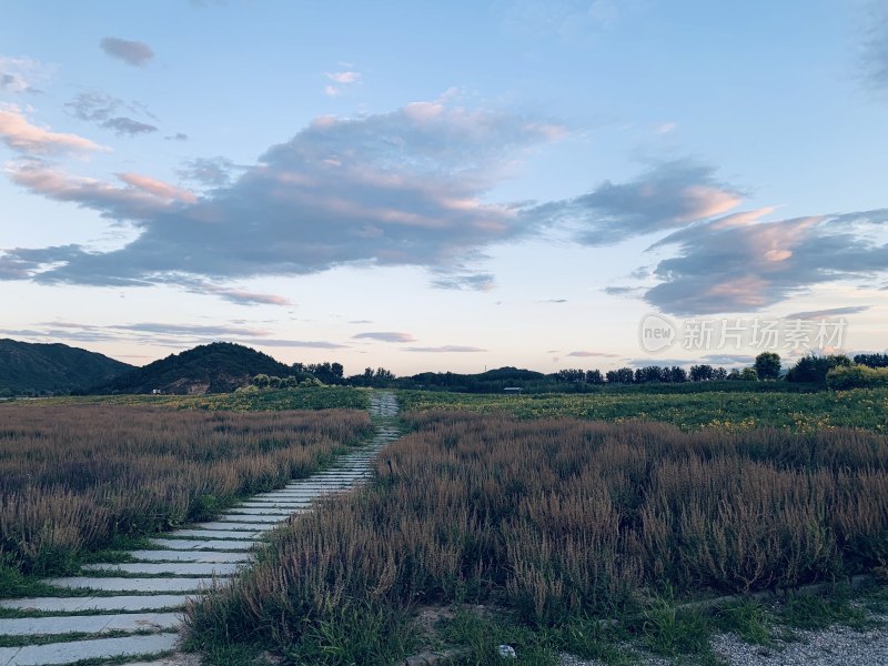 北京昌平花海日落晚霞