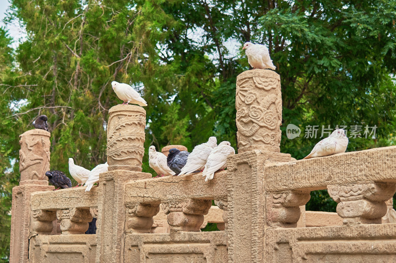 甘肃张掖木塔寺