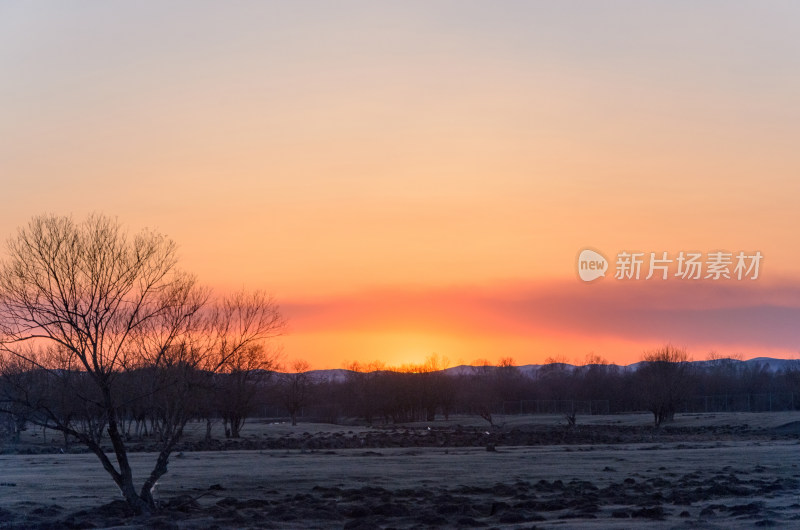 内蒙古呼伦贝尔额尔古纳湿地公园日落夕阳