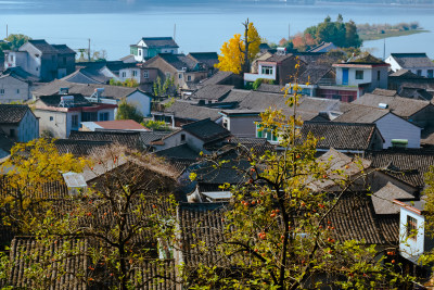 宁波院士中心上俯瞰东钱湖风景