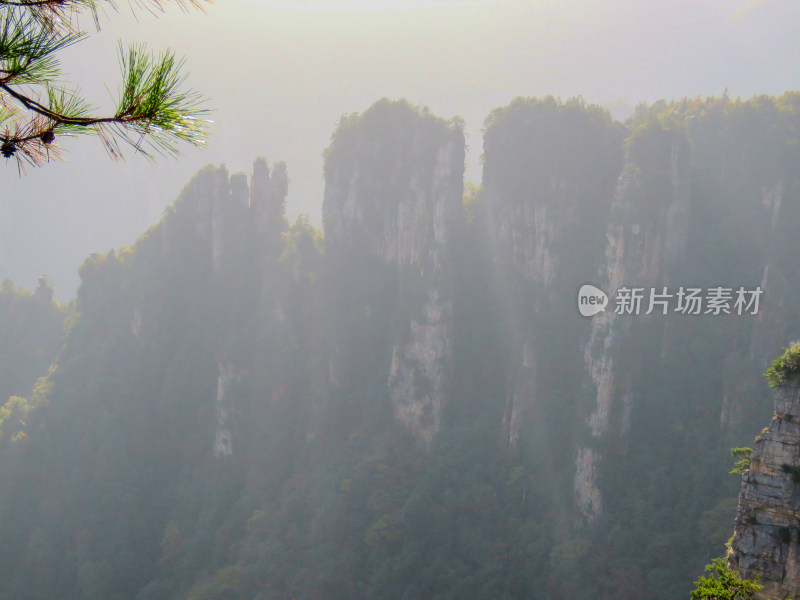 中国湖南张家界国家森林公园旅游风光