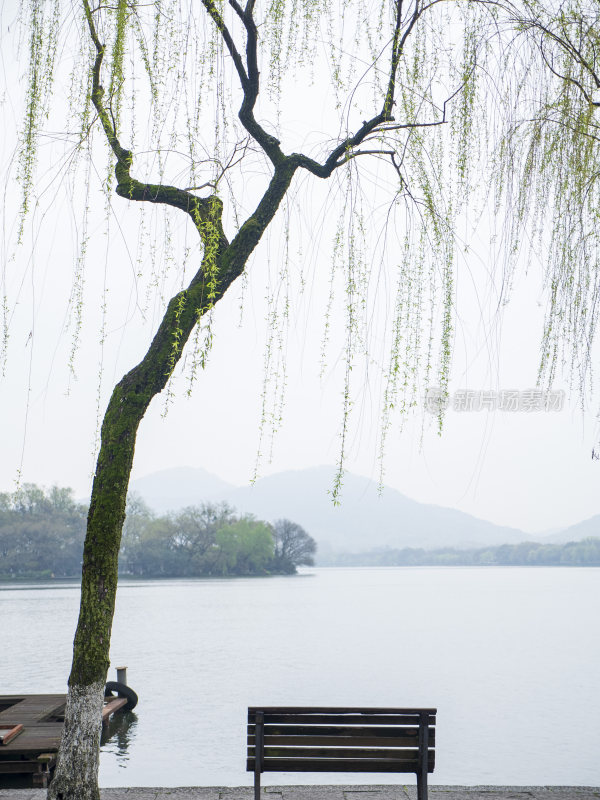 杭州西湖西泠桥风景
