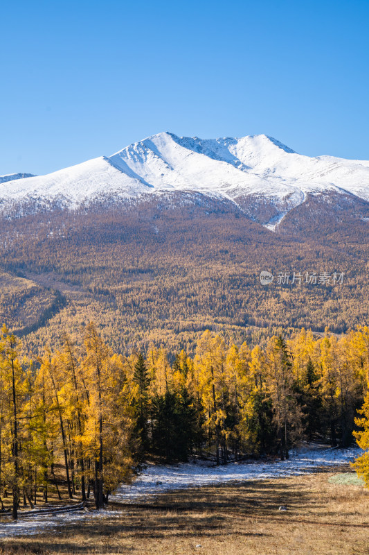 新疆北疆阿勒泰秋日雪山