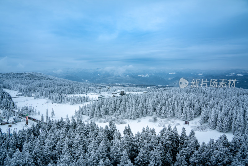 重庆下雪的仙女山