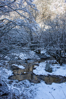 冬日积雪覆盖的山林溪流雪景