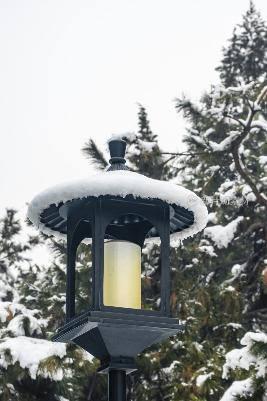 被雪覆盖的路灯，冬日雪景中的独特景致