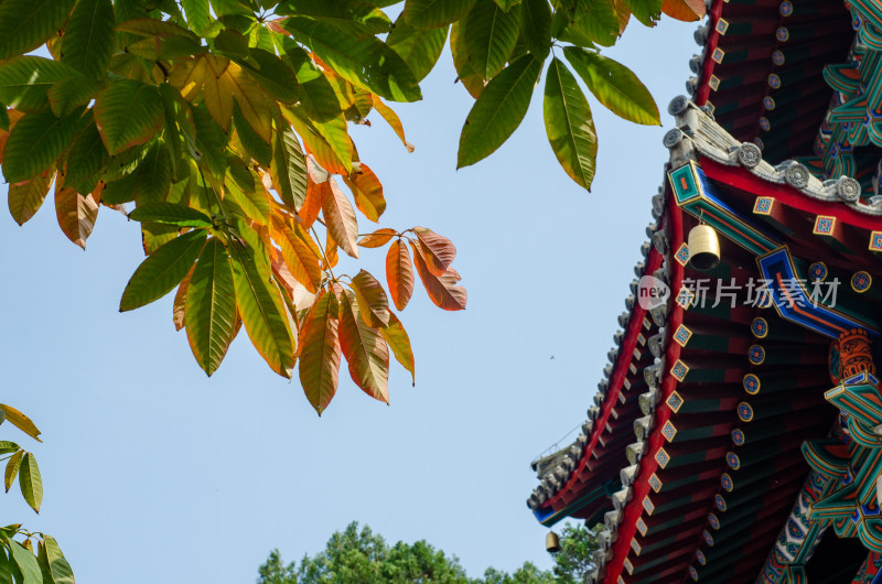 河南洛阳龙门石窟：香山寺秋景