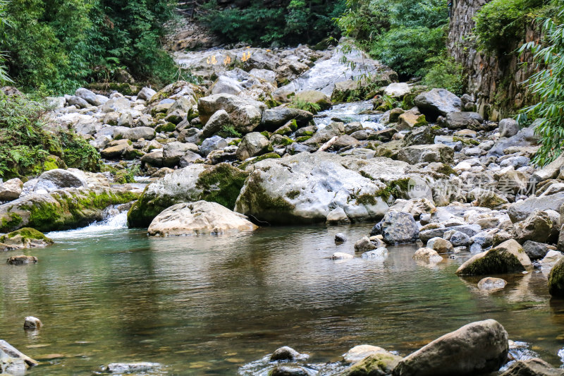 湖北宜昌三峡竹海风景区，自然风光，竹海