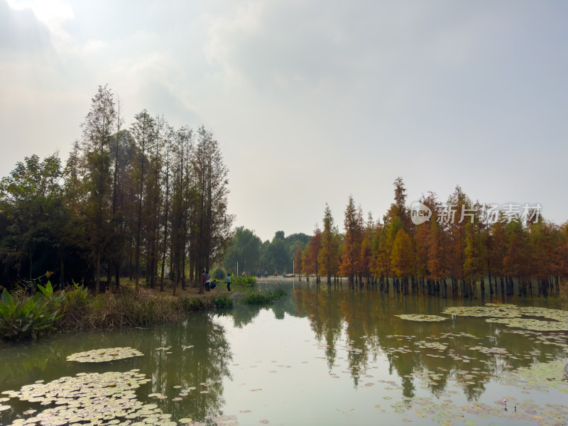 天空下湖边的风景