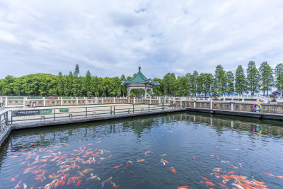 武汉东湖风景区碧潭观鱼景点风光