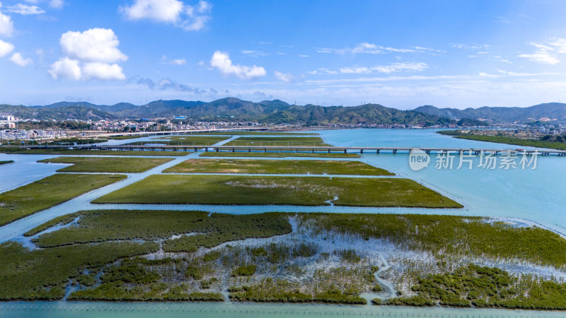 惠州盐洲海洋湿地公园-红树林湿地风光