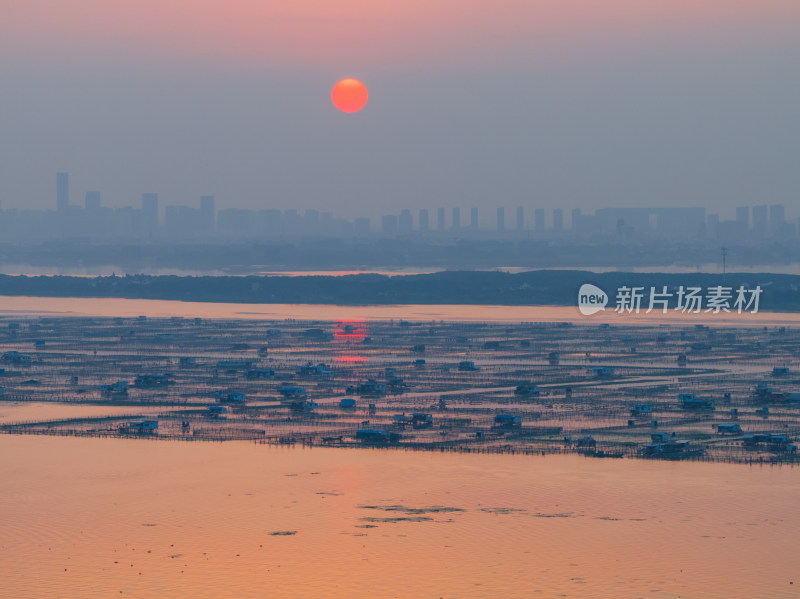 航拍苏州阳澄湖自然风光