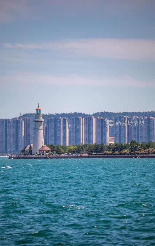 山东威海海天之间飞翔的海鸥