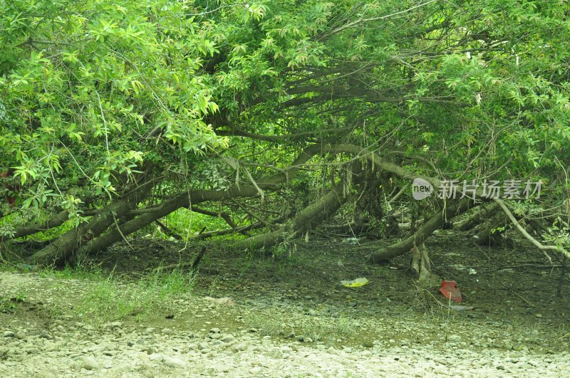 长沙风景，自然风光，长沙城景