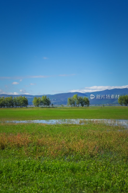 丽江拉市海湿地蓝天白云青山绿水自然风景