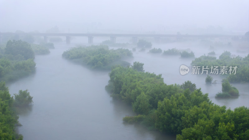 河流湿地雨雾朦胧自然风景