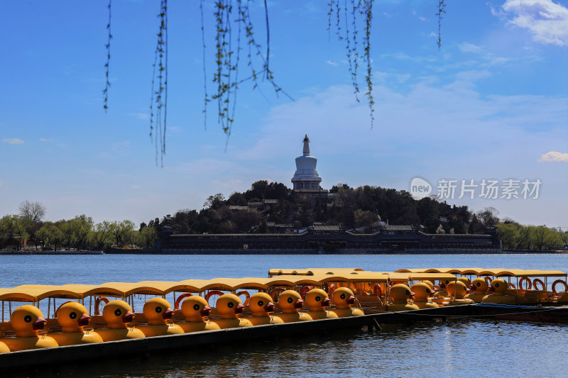 北海公园的春天