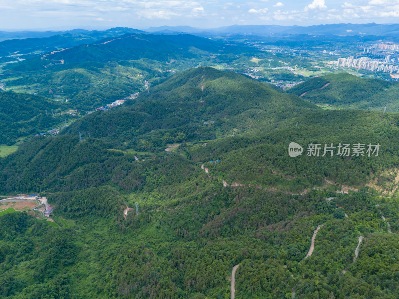 祖国大好河山绿色森林植物航拍图