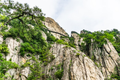 河南洛阳市栾川县5A景区老君山十里画廊景观