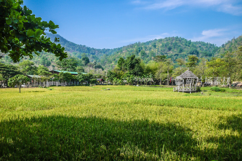 泰国的乡村美景