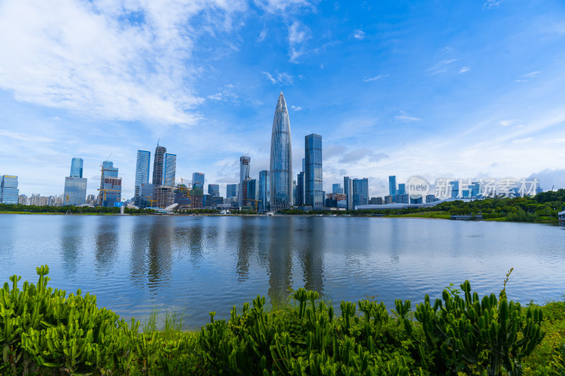 深圳后海深圳湾人才公园