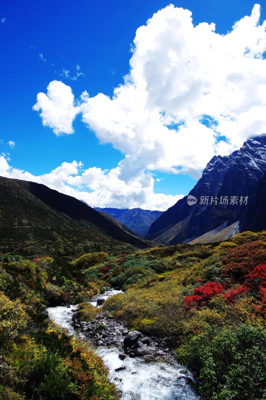 西藏噶玛沟山水自然风景