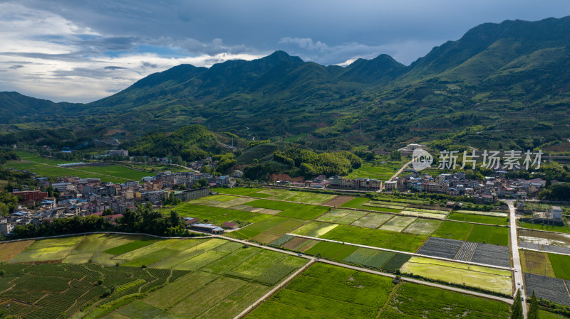 航拍乡村绿色稻田 乡村振兴