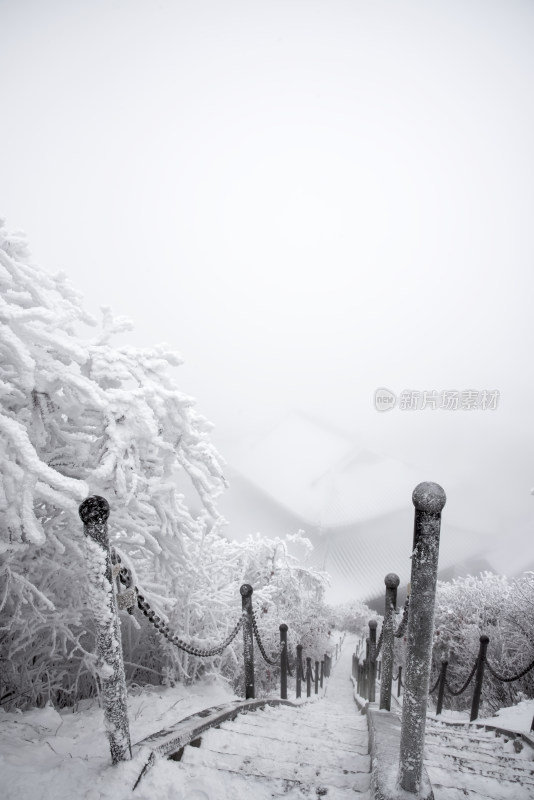 寒冷冬天大雪迷雾中的老君山