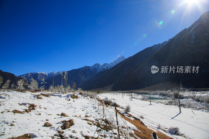 中国西藏地区冬季雾凇及雪绒花