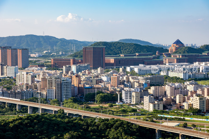 中山大学深圳校区