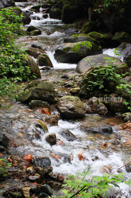 西岭雪山大飞水