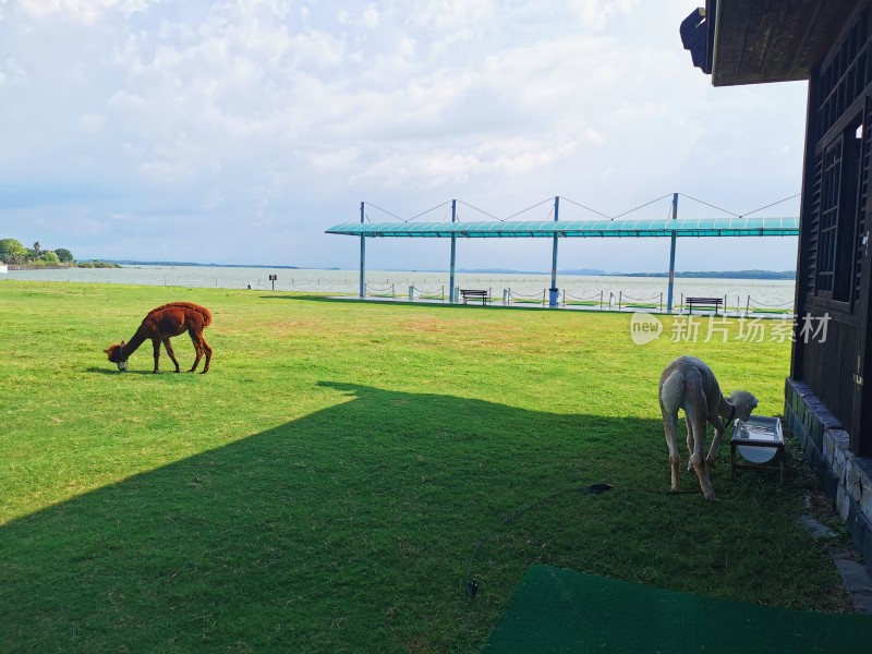 夏日蓝天白云风景